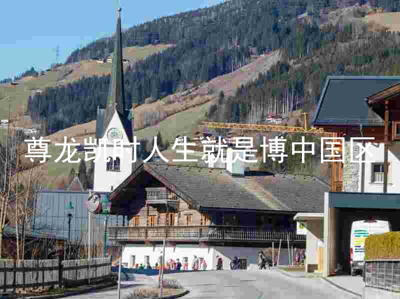 尊龙凯时人生就是博中国区
