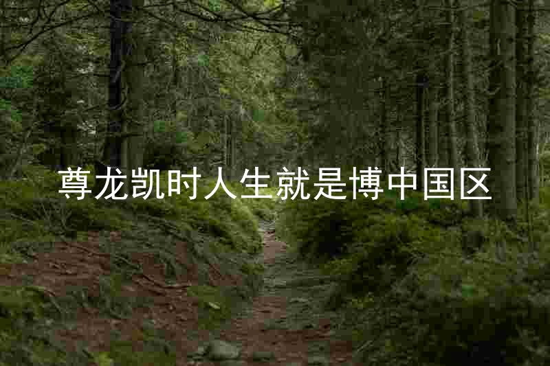 尊龙凯时人生就是博中国区