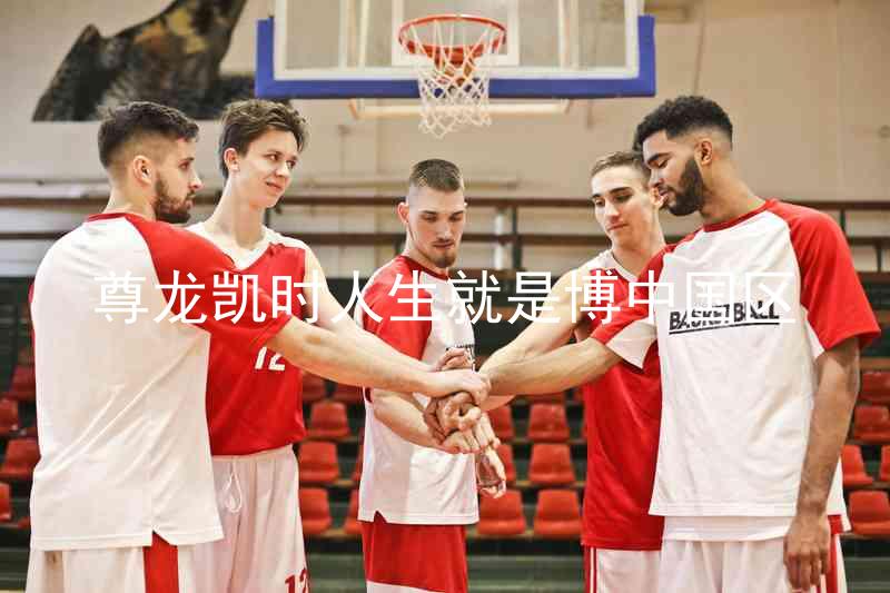 尊龙凯时人生就是博中国区