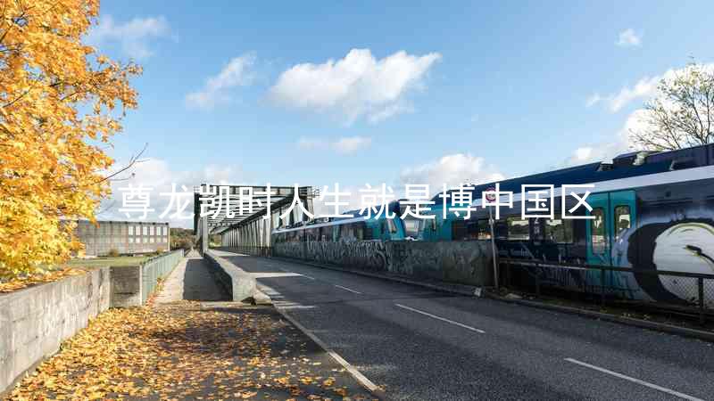 尊龙凯时人生就是博中国区